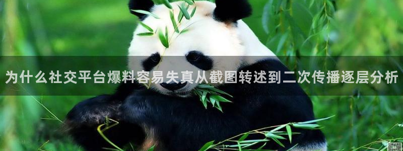 黑料爆料热搜榜