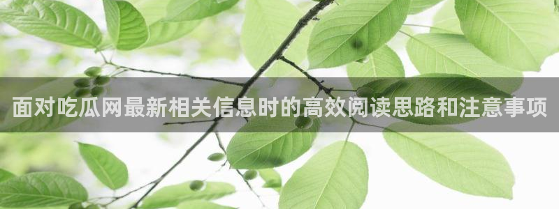 资讯爆料网站